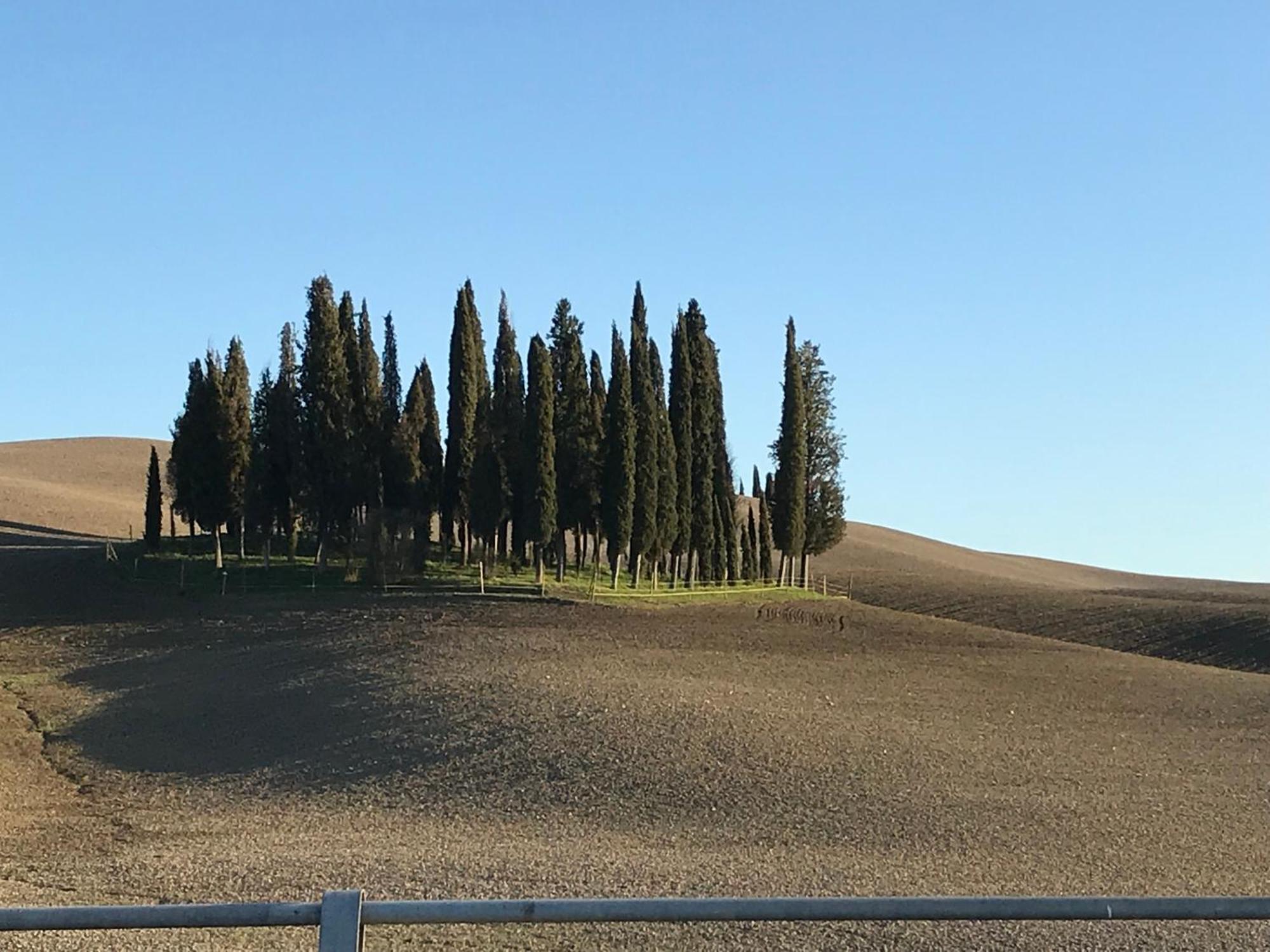 شقة Il Giuggiolo مونتالشينو المظهر الخارجي الصورة